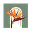 downtownelcajon.com logo