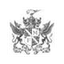 duaneparknyc.com logo