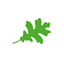 oakbay.ca logo