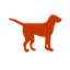 scoogieevents.com logo