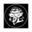 sfcatclub.com logo
