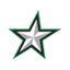 texasstars.com logo