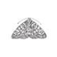 themoth.org logo